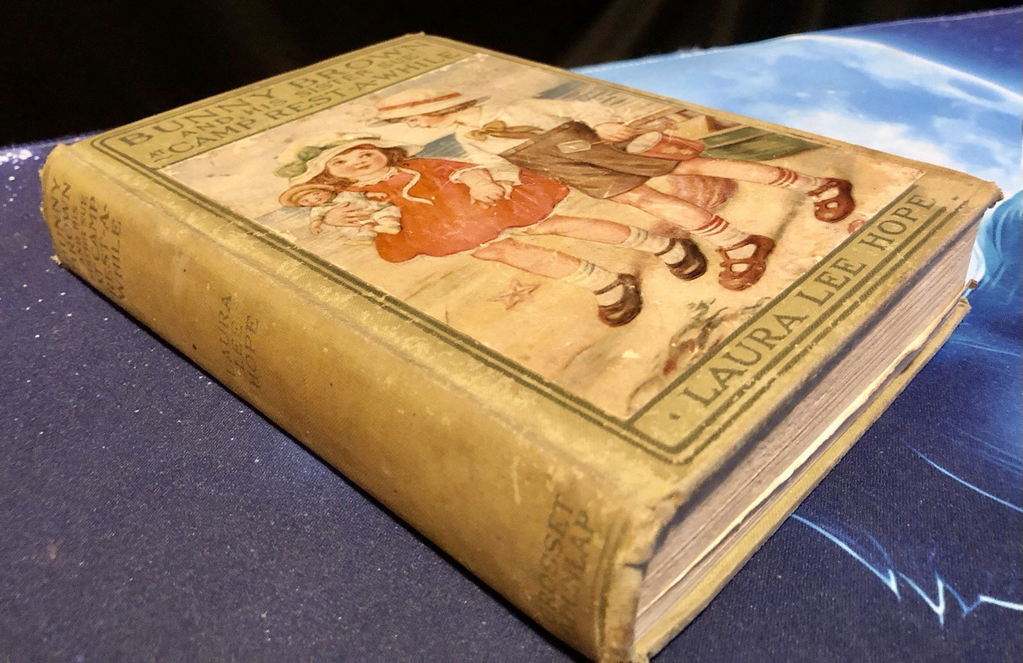 Vintage Book~Laura Lee Hope~BUNNY BROWN and His Sister Sue Playing Circus 1916