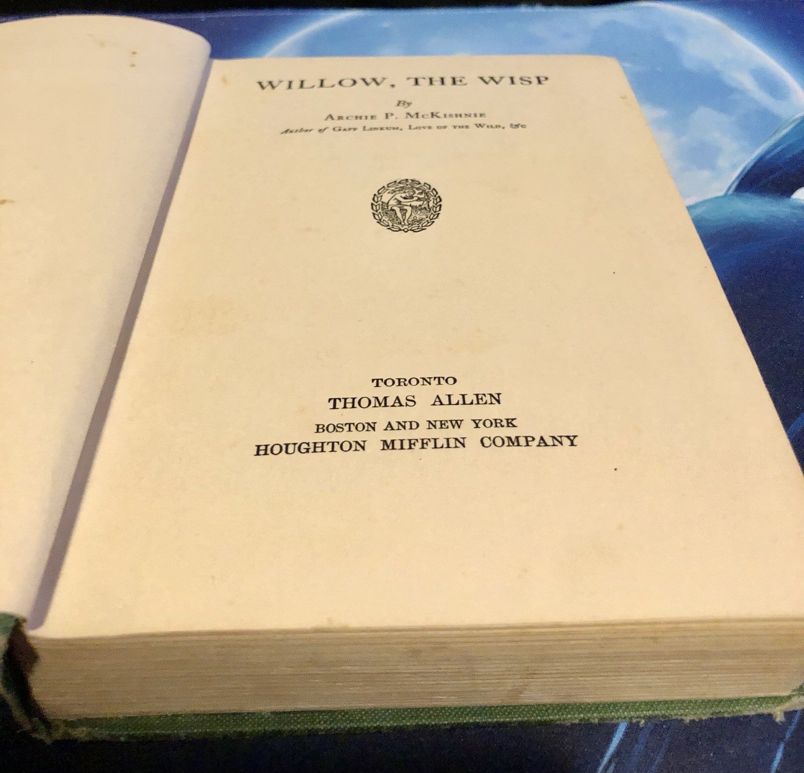 Willow, the Wisp Archie P. McKishnie 1918 HC Vintage Book Antique Fantasy