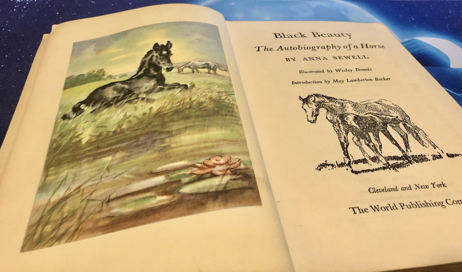 Black Beauty by Anna Sewell 1946 HB