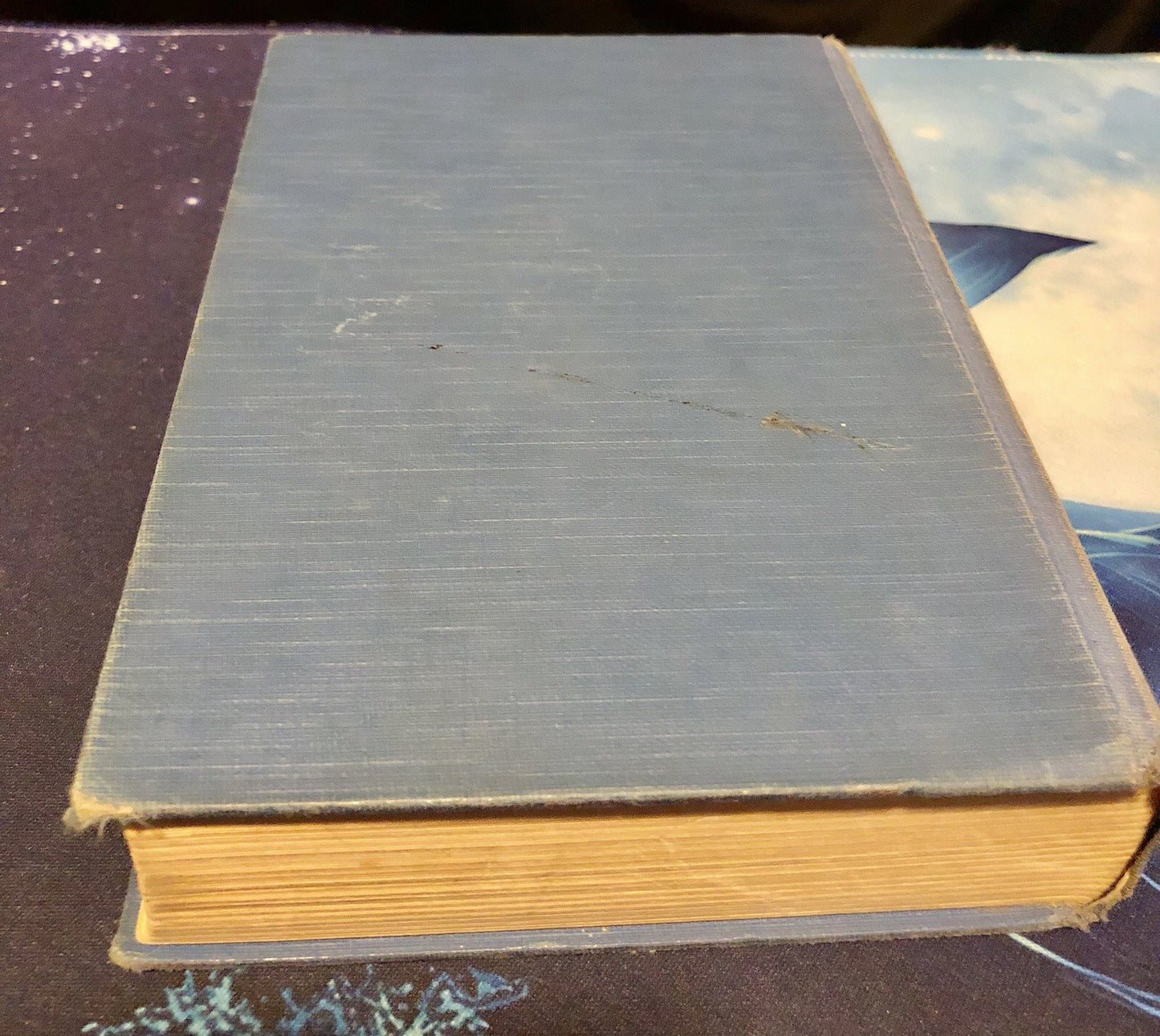 1929 Burning Beauty by Temple Bailey hardcover Vintage Book