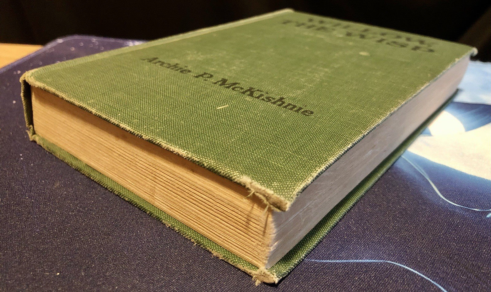 Willow, the Wisp Archie P. McKishnie 1918 HC Vintage Book Antique Fantasy